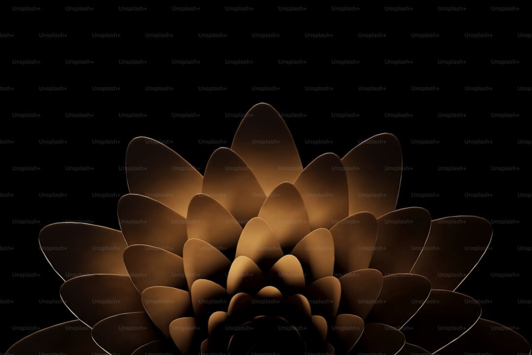 以“礼”为魂，在《南孔》中照见立身的刻度